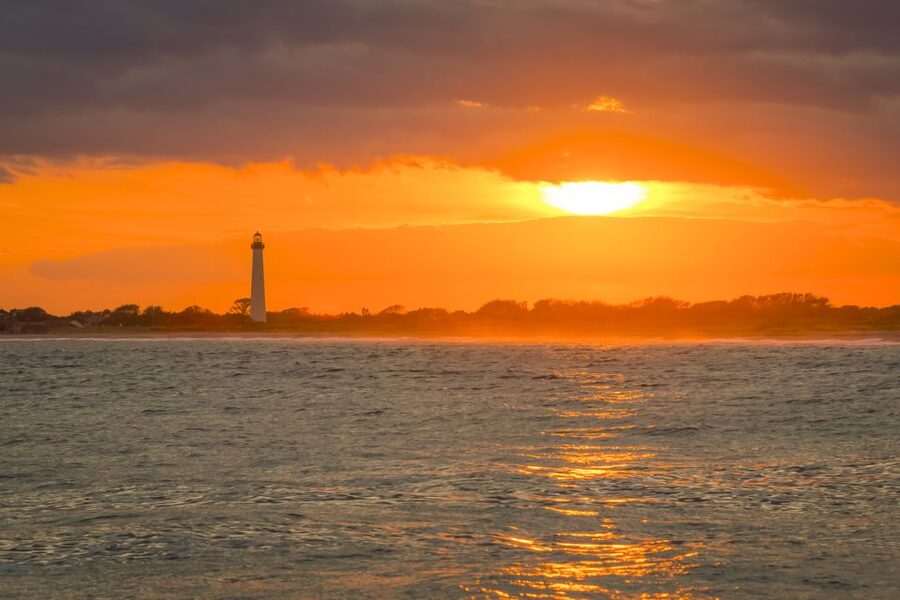 Cape May: Weekend Whale and Dolphin Watching Cruise - Watching Dolphins Alongside the Boat