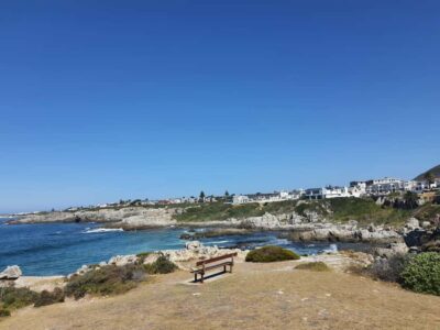 Cape Town: Hermanus Whale Watching Shared Boat & Penguins