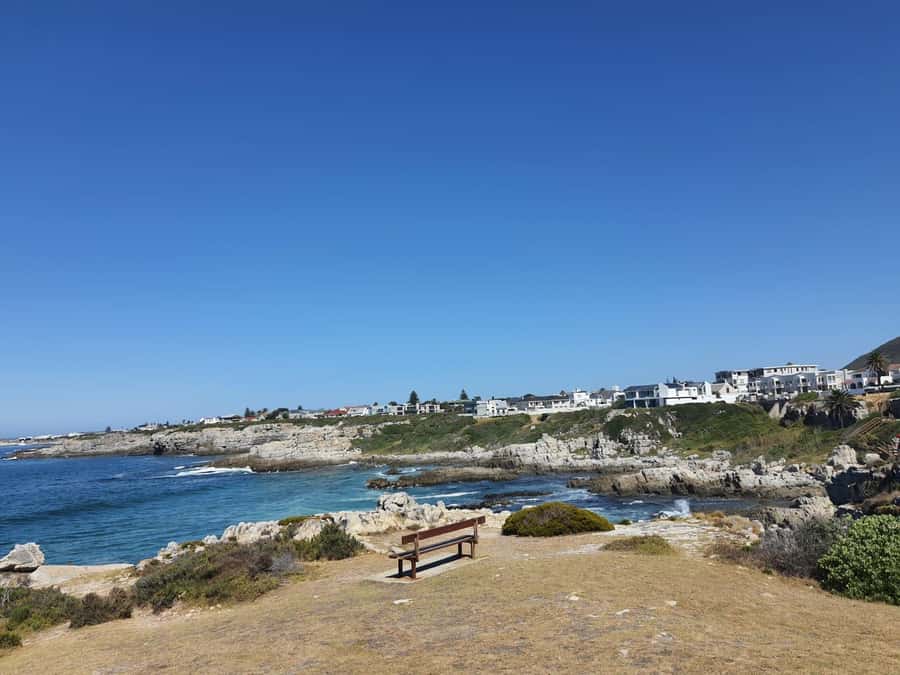 Cape Town: Hermanus Whale Watching Shared Boat & Penguins - Leaving Cape Town in a private vehicle