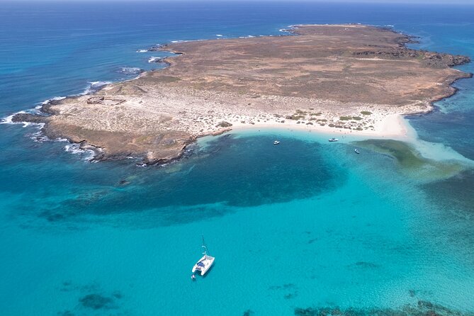 Catamaran Sailing Tour or Whale Watching at Boa Vista - Why the small catamaran matters
