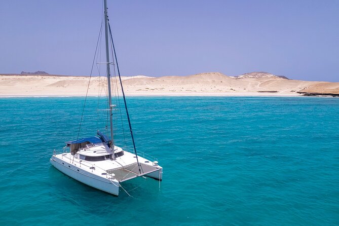 Catamaran Sailing Tour or Whale Watching at Boa Vista - Who will enjoy this boat trip most?