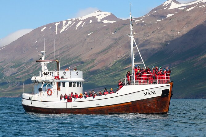 Classic Whale Watching from Dalvík Near Akureyri - Who should book this Dalvík whale trip?