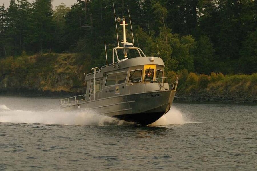 Comox: 4 Hour Whale and Wildlife Watching Tour - Key things to know before you go
