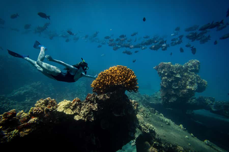 Coral Gardens Snorkel & Whale Watch - Sailing along Maui’s coast for the first hour