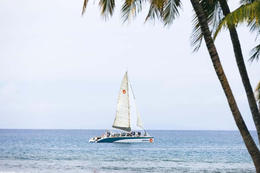 Coral Gardens Snorkel & Whale Watch - Starting at Maalaea Harbor, slip #72