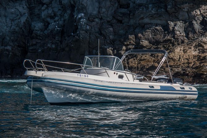 Costa Adeje | Cetacean sighting in Tenerife South - The Crew’s Approach to Conservation