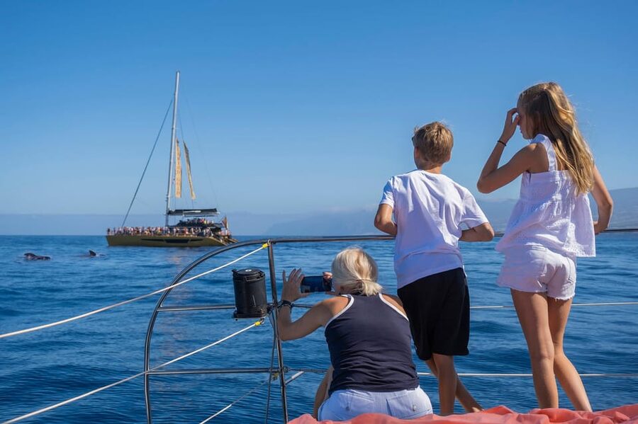 Costa Adeje: Masca and Los Gigantes Whale Watching Cruise - Swimming, sunbeds, lunch, and drinks