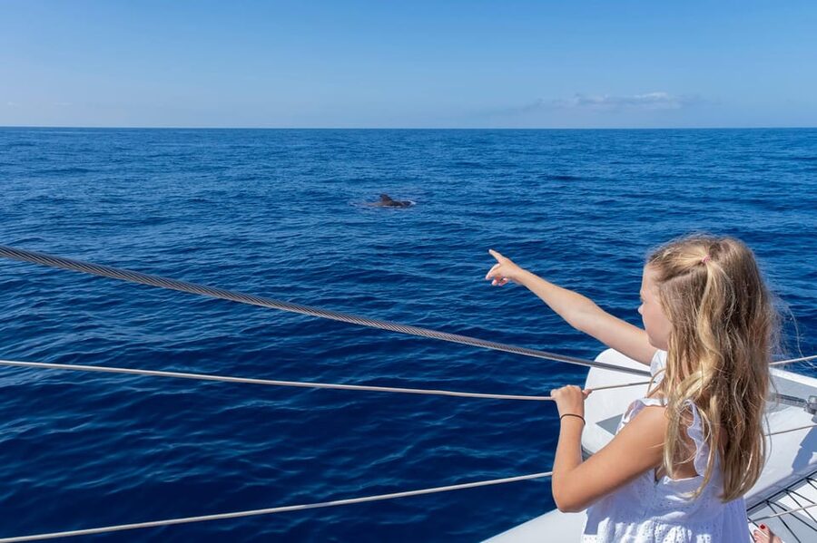 Costa Adeje: Masca and Los Gigantes Whale Watching Cruise - Is the $71 price good value?