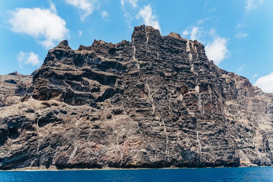 Costa Adeje: Masca and Los Gigantes Whale Watching Cruise - Who should book this catamaran cruise?