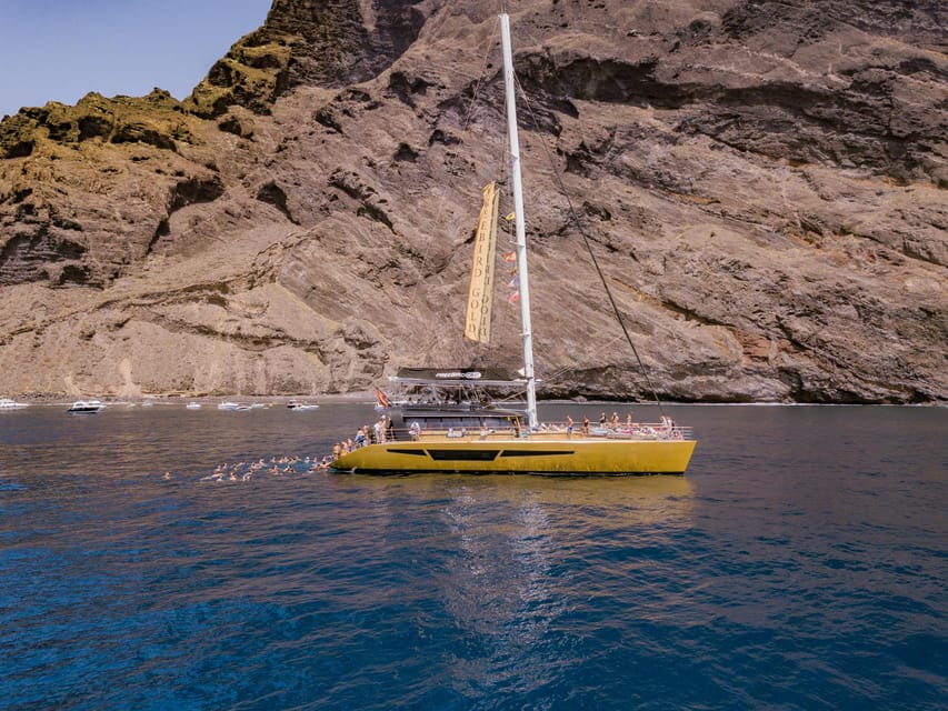Costa Adeje: Masca and Los Gigantes Whale Watching Cruise - My verdict: book it if you want a varied half-day at sea