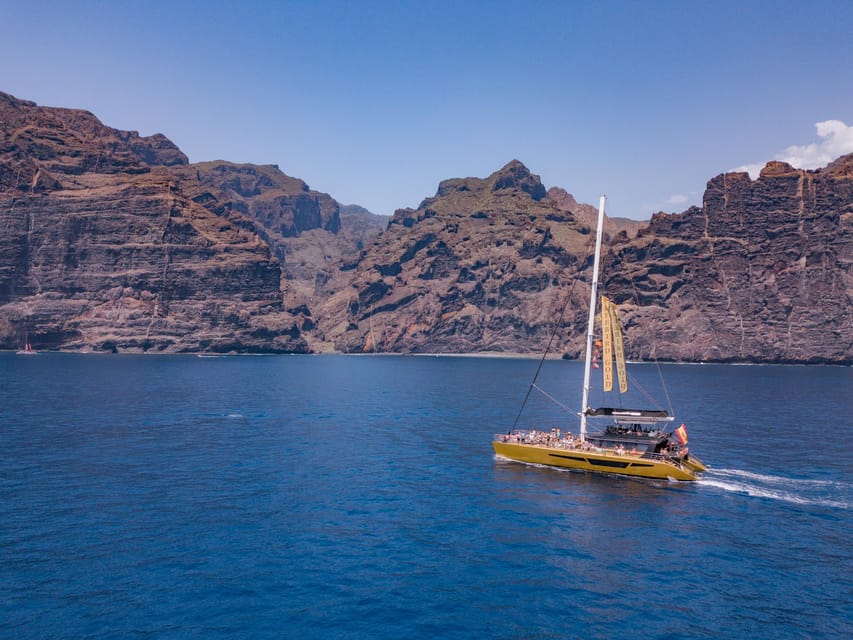 Costa Adeje: Masca and Los Gigantes Whale Watching Cruise - Watching whales and dolphins off Tenerife