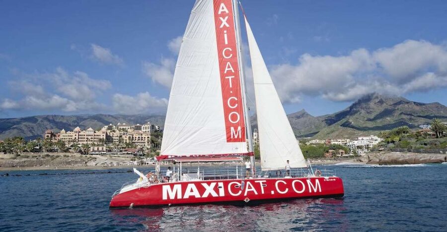 Costa Adeje: Whale and Dolphin Cruise with Food and Pickup - Swimming at Diego Hernandez Bay