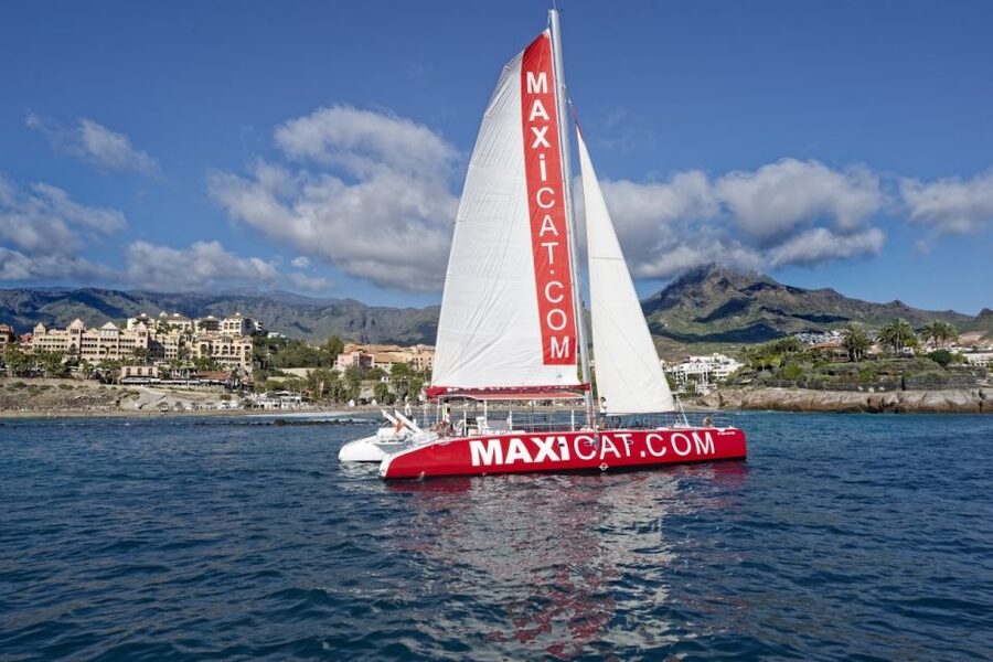 Costa Adeje: Whale and Dolphin Cruise with Food and Pickup - What to bring for a better day