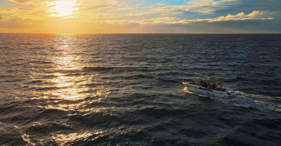 Costa Adeje: Whale and Dolphin-Watching Boat Excursion - Searching for whales and dolphins off Tenerife