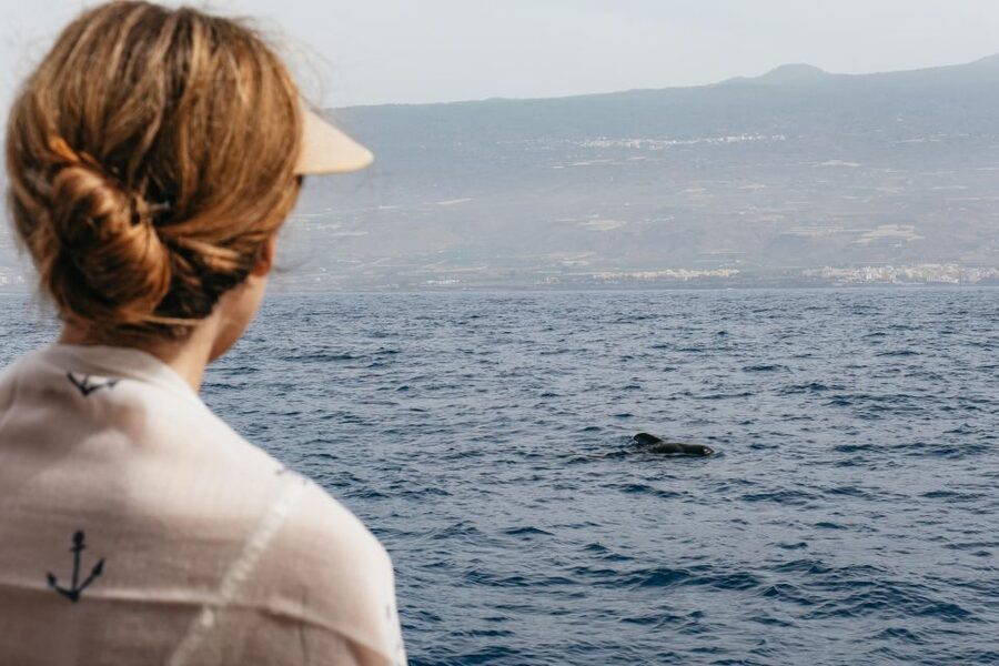 Costa Adeje: Whale & Dolphin Eco-Cruise with Snacks & Drinks - Key Details Before You Book