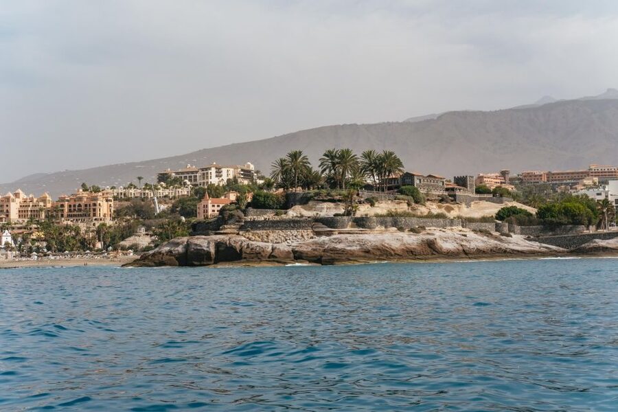 Costa Adeje: Whale & Dolphin Eco-Cruise with Snacks & Drinks - FAQ