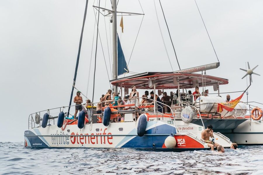 Costa Adeje: Whale & Dolphin Eco-Cruise with Snacks & Drinks - Setting Sail From Puerto Colón