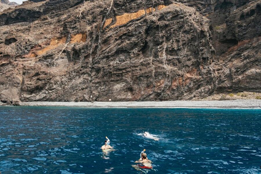 Costa Adeje: Whale & Dolphin Eco-Cruise with Snacks & Drinks - Views From Playa de las Américas to Los Cristianos