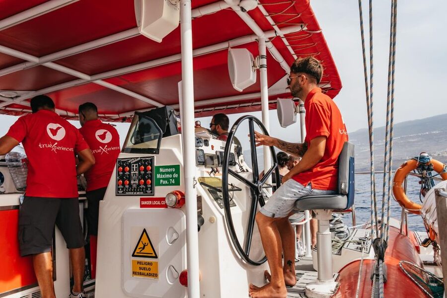 Costa Adeje: Whale & Dolphin Eco-Cruise with Snacks & Drinks - What the Sea Conditions Feel Like