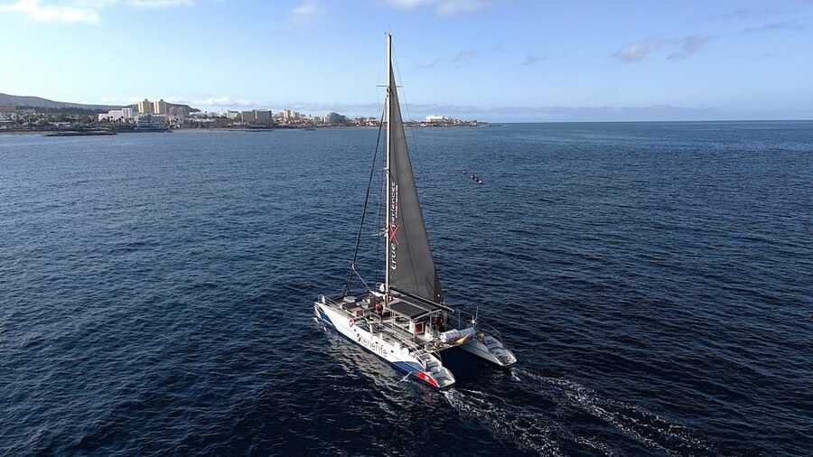 Costa Adeje: Whale & Dolphin Eco-Cruise with Snacks & Drinks - Who Will Enjoy This Cruise Most?