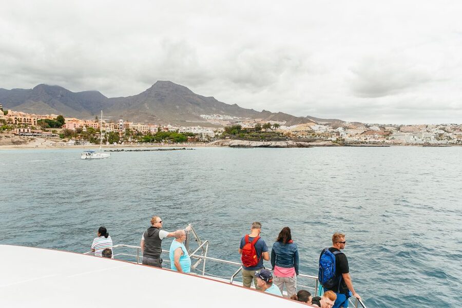 Costa Adeje: Whale & Dolphin Submarine Vision Mini Cruise - What the underwater viewing really offers