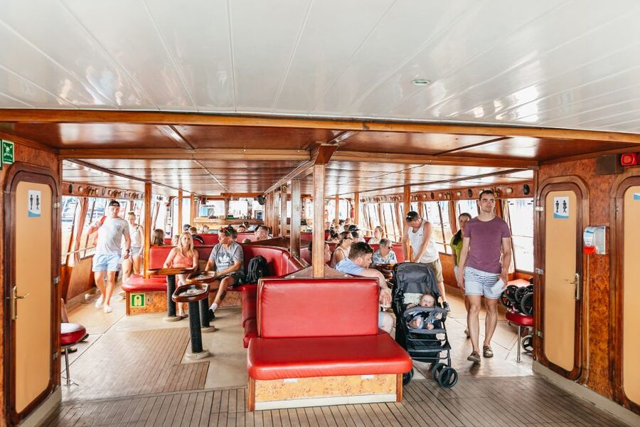 Costa Adeje: Whale & Dolphin Submarine Vision Mini Cruise - The wildlife: what you might see