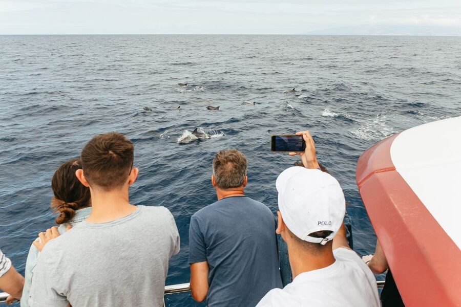 Costa Adeje: Whale & Dolphin Submarine Vision Mini Cruise - Why the boat size matters