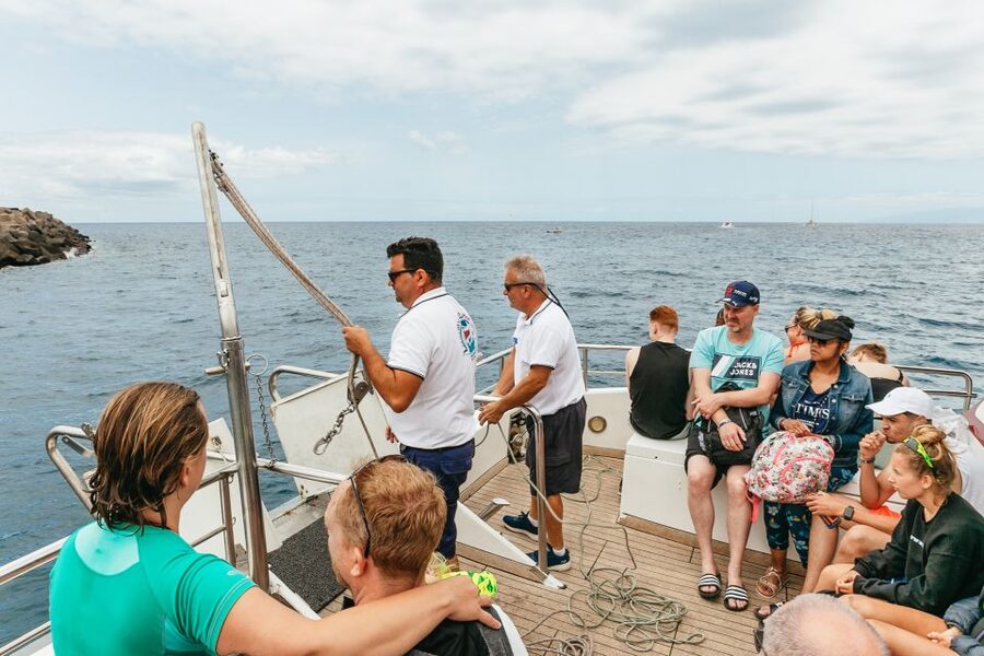 Costa Adeje: Whale & Dolphin Submarine Vision Mini Cruise - Is $35 good value?