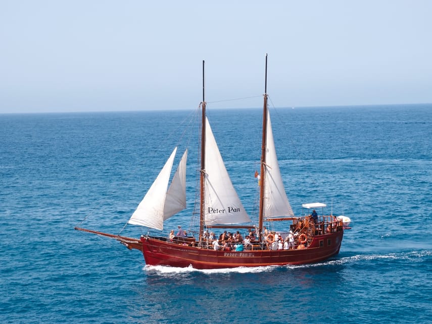 Costa Adeje: Whale & Dolphin Watching Cruise with Swim - Leaving Puerto Colón on the Shogun