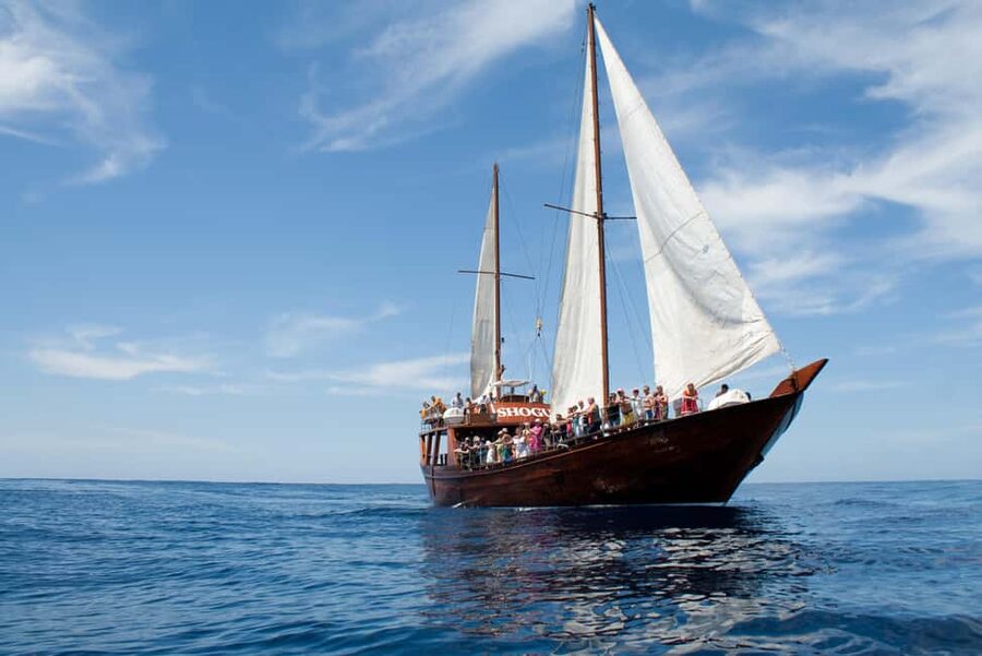 Costa Adeje: Whale & Dolphin Watching Cruise with Swim - Crew, music, and the feel on board