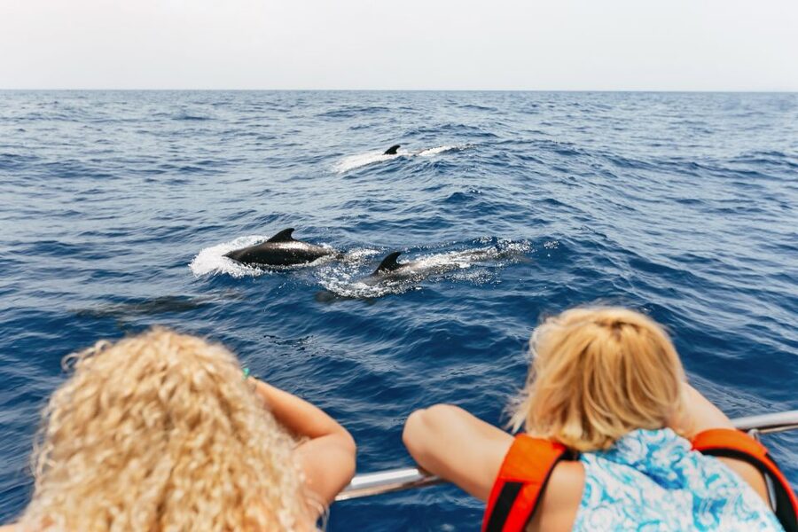 Costa Adeje: Whale Watching Catamaran Tour with Drinks - Dolphins, fish farms, and the search beyond the whales