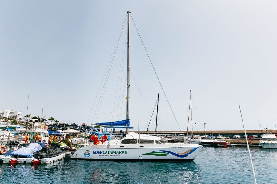 Costa Adeje: Whale Watching Catamaran Tour with Drinks - Why the three-hour option costs more time, not just money