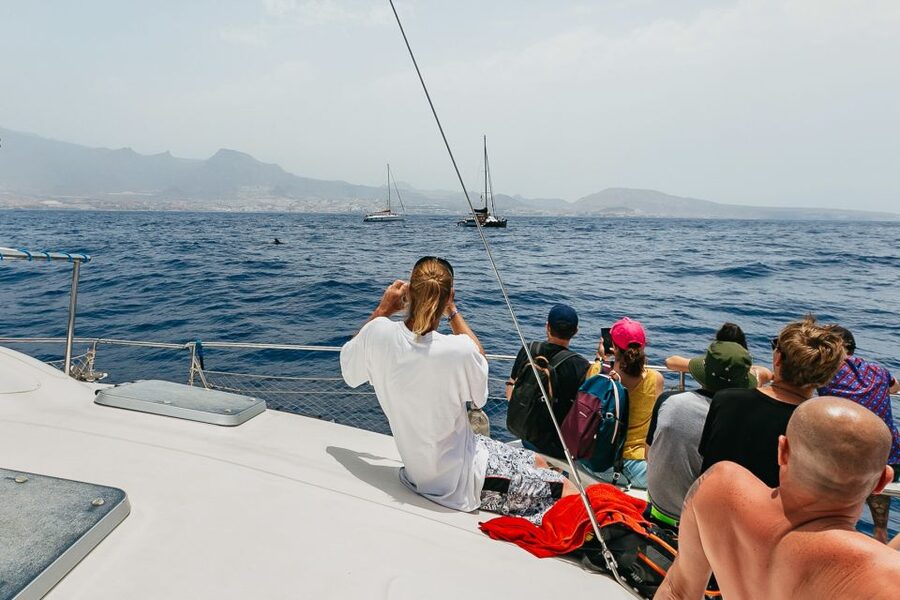 Costa Adeje: Whale Watching Catamaran Tour with Drinks - Price and value at about $41