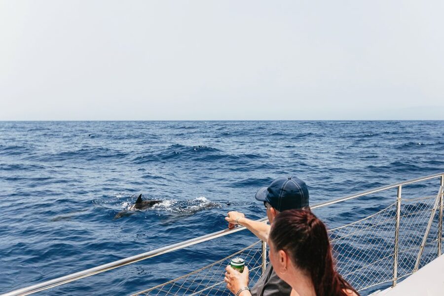 Costa Adeje: Whale Watching Catamaran Tour with Drinks - Pilot whales only a few miles from shore