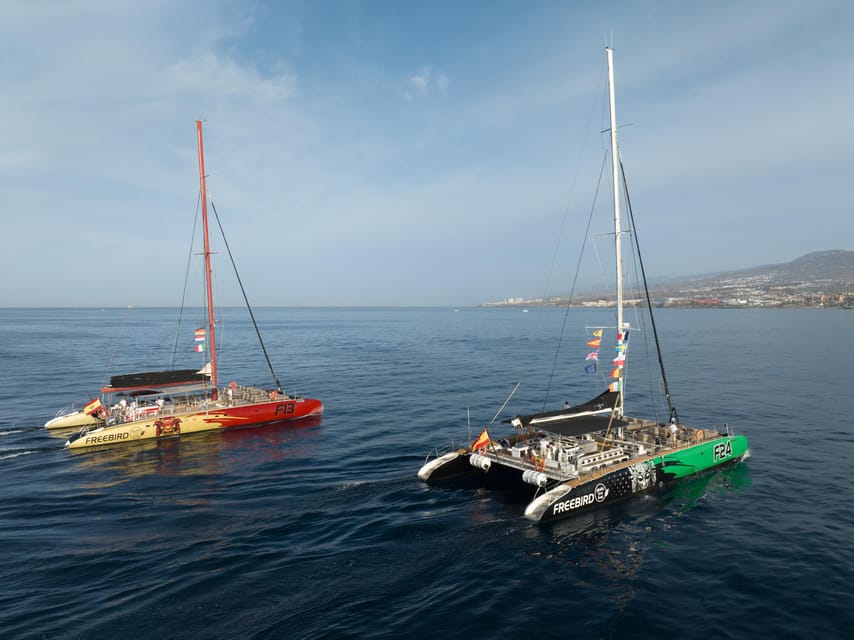 Costa Adeje: Whale Watching Cruise - Photos, seating, and the small practical complaints
