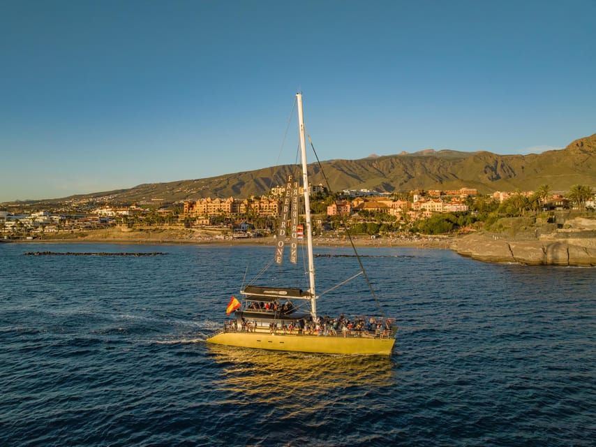 Costa Adeje: Whale Watching Cruise - What to bring and how to prepare