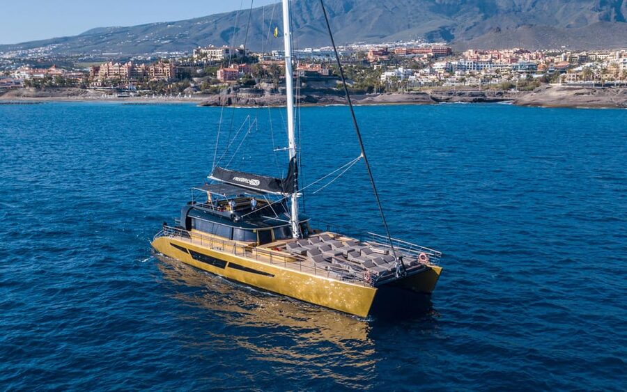 Costa Adeje: Whale Watching Cruise - Why Tenerife is good for whale watching