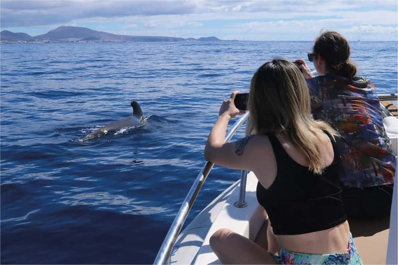 Costa Adeje: Whale Watching Eco Experience with Hydrophone. - Listening to whales with the hydrophone