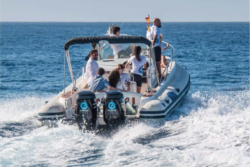 Costa Adeje: Whale Watching Eco Experience with Hydrophone. - A conservation-first way to watch wildlife