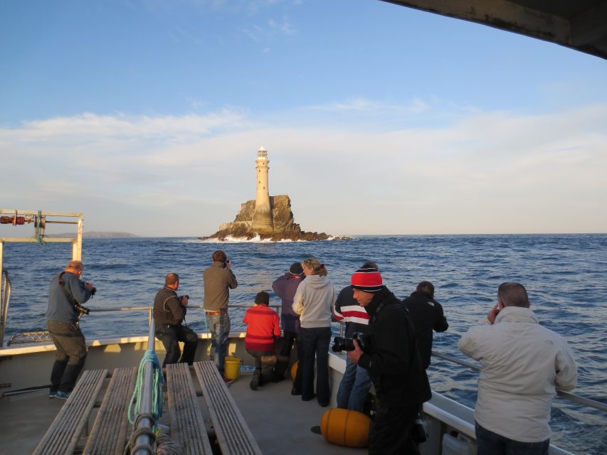 County Cork: Whale & Dolphin Watching Boat Trip - Preparing for wind, rain, and spray