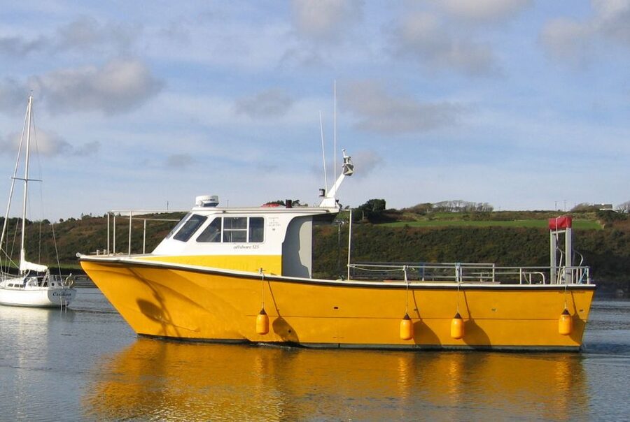 County Cork: Whale & Dolphin Watching Boat Trip - When the sea is rough or the whales stay away