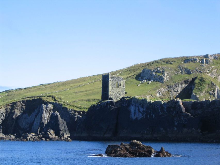 County Cork: Whale & Dolphin Watching Boat Trip - Open Atlantic water, not a guaranteed animal parade