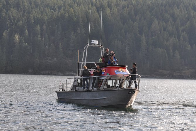 Covered Boat Whale Watching 4-Hour Tour from Campbell River - Four hours on the coastal waters