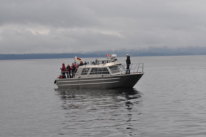 Covered Boat Whale Watching 6-Hour Tour from Campbell River - What the Campbell River Whale Watching Tour Is Like