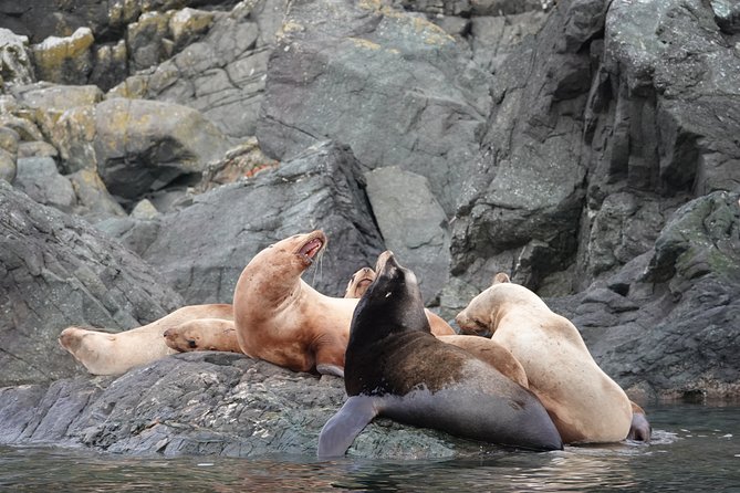 Covered Boat Whale Watching 6-Hour Tour from Campbell River - Heading South Past Quadra Island