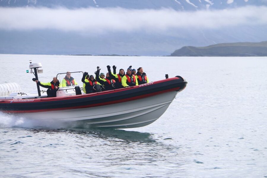 Dalvík: Whale Watching Speedboat Tour - Forty-five minutes searching for whales and dolphins