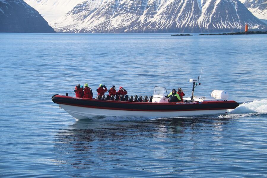 Dalvík: Whale Watching Speedboat Tour - Who should book this Dalvík trip?