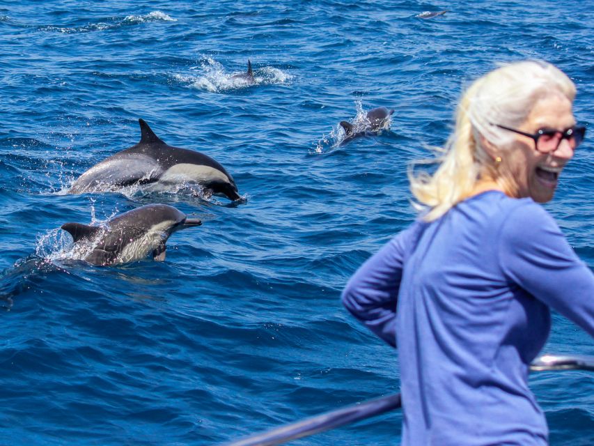 Dana Point Dolphin & Whale Watching With Underwater Viewing - Comfort, weather, and what to wear