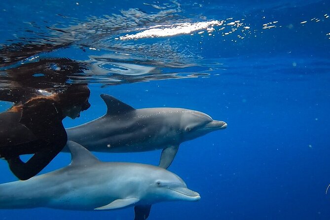 Day Trip to Ponta de Ouro Beach /Dolphin Swim+Snorkel+Whale Watch - A quick wildlife stop at Maputo Special Reserve