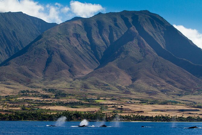 Deluxe Whale Watching Sail on Maui - Listen to whales through the underwater hydrophone